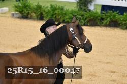 25R15_16_00047 thumbnail