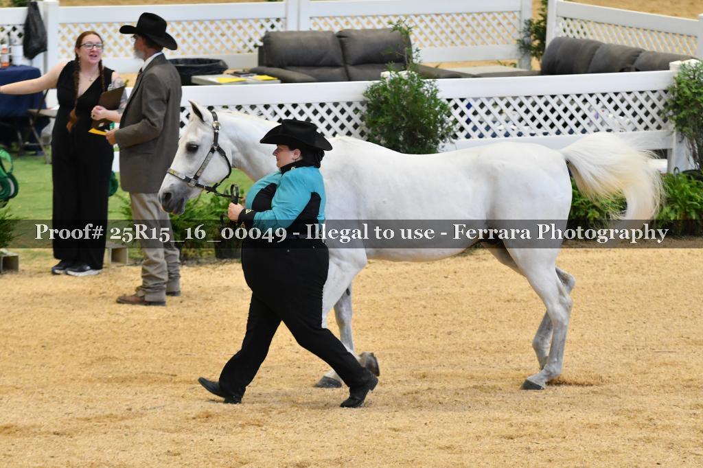 Proof Number 25R15_16_00049