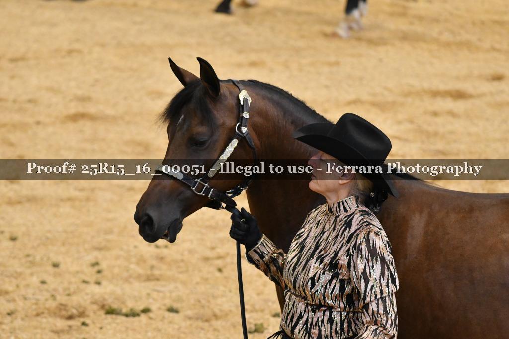Proof Number 25R15_16_00051