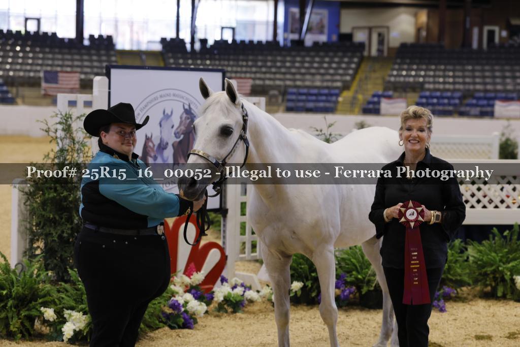 Proof Number 25R15_16_00052