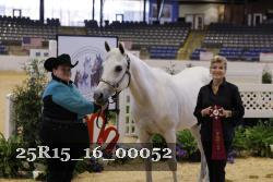 25R15_16_00052 thumbnail