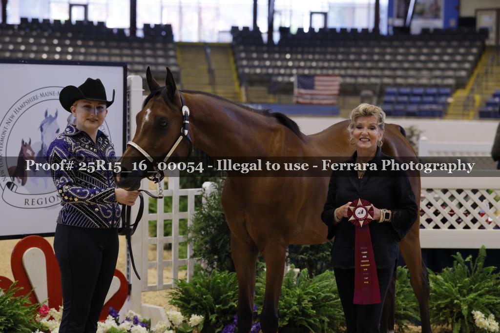 Proof Number 25R15_16_00054