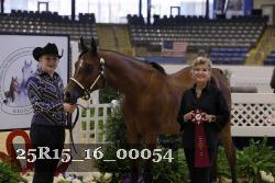25R15_16_00054 thumbnail