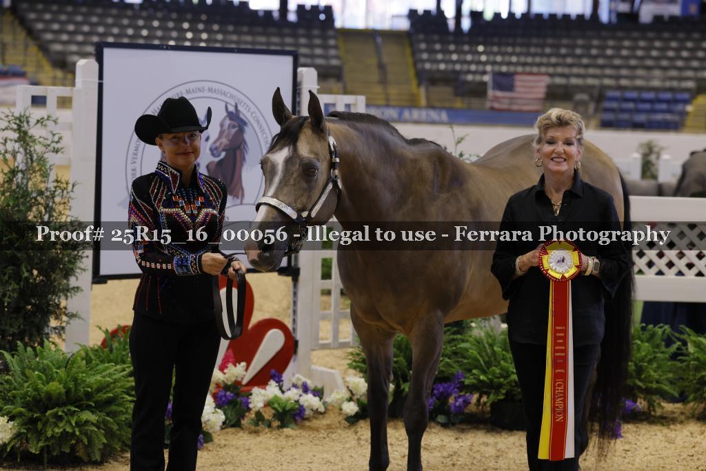 Proof Number 25R15_16_00056