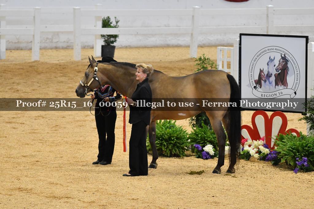 Proof Number 25R15_16_00059