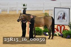 25R15_16_00059 thumbnail