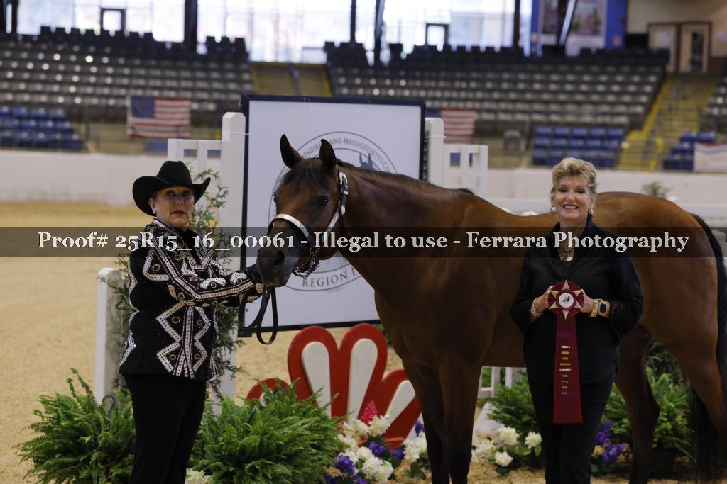 Proof Number 25R15_16_00061