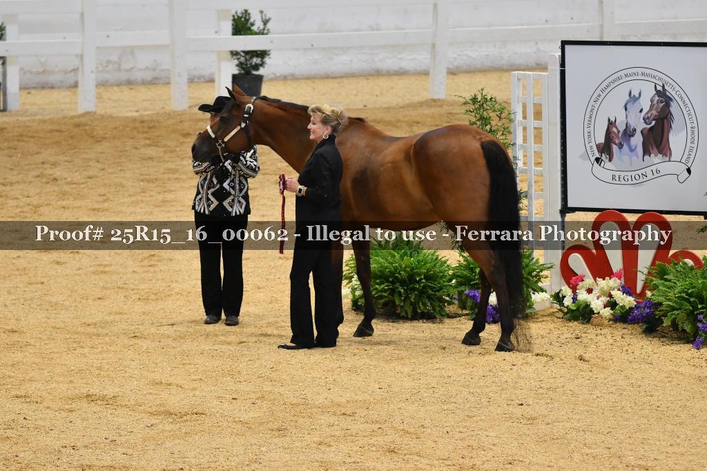 Proof Number 25R15_16_00062