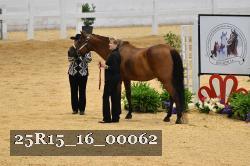 25R15_16_00062 thumbnail