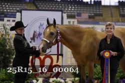 25R15_16_00064 thumbnail
