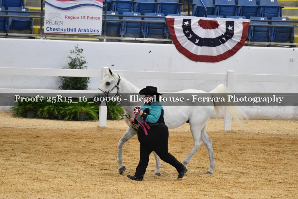 Proof Number 25R15_16_00066