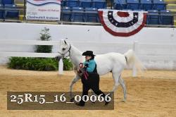 25R15_16_00066 thumbnail