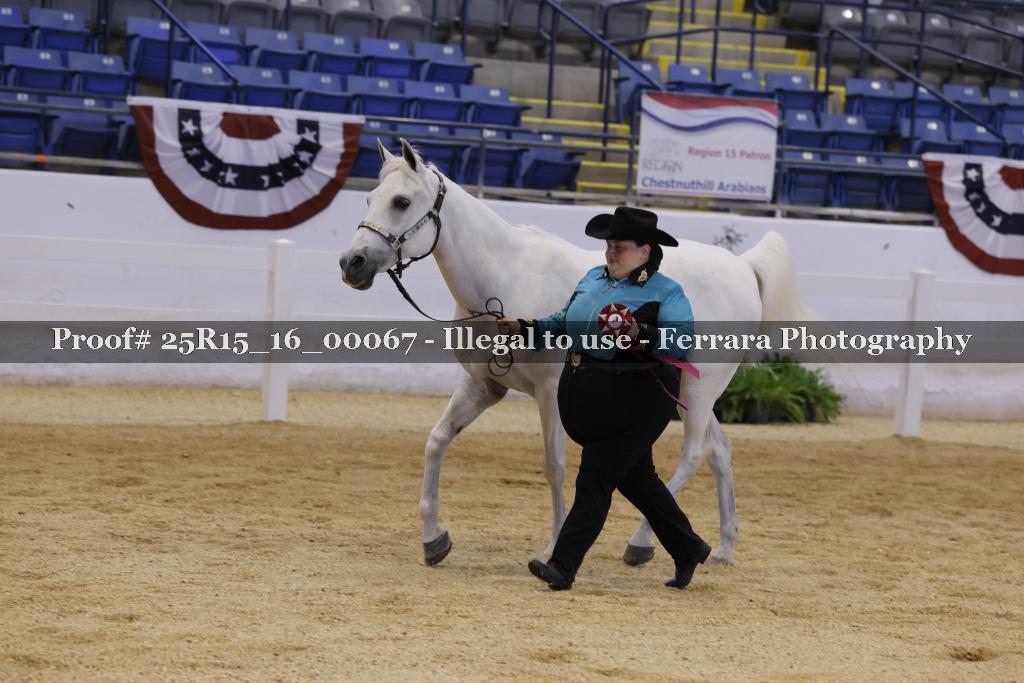 Proof Number 25R15_16_00067