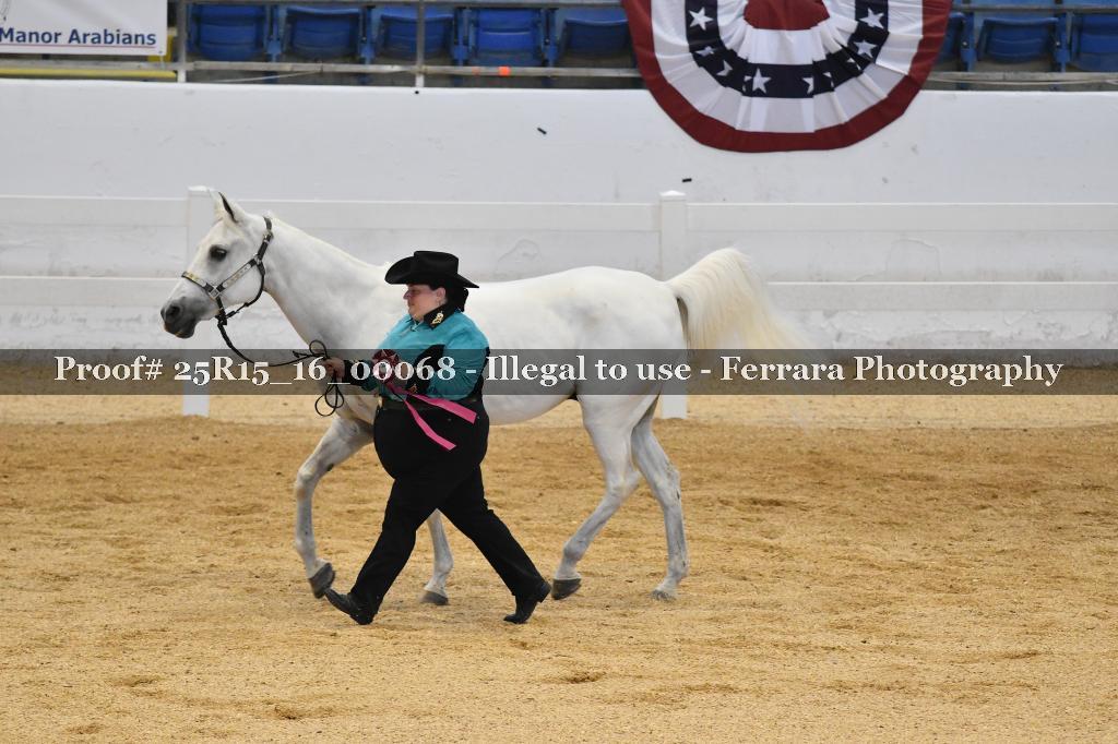 Proof Number 25R15_16_00068
