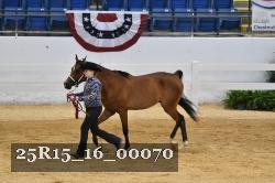 25R15_16_00070 thumbnail
