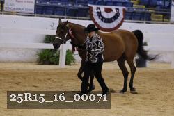 25R15_16_00071 thumbnail