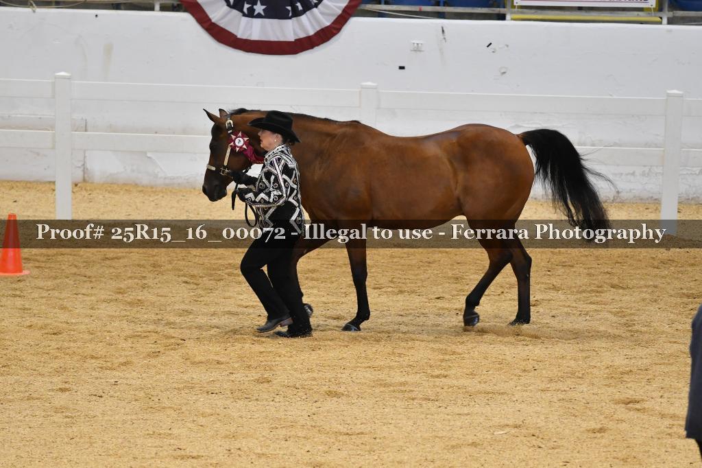 Proof Number 25R15_16_00072