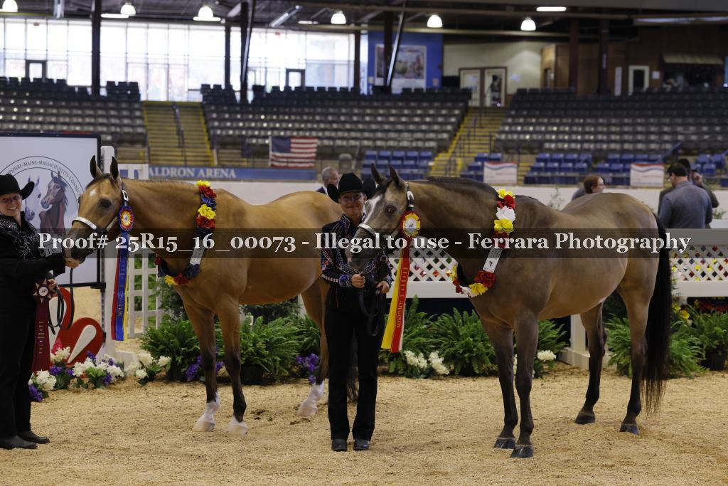 Proof Number 25R15_16_00073