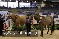 25R15_16_00073 thumbnail