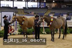 25R15_16_00074 thumbnail