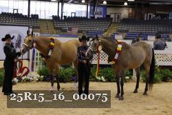 25R15_16_00075 thumbnail