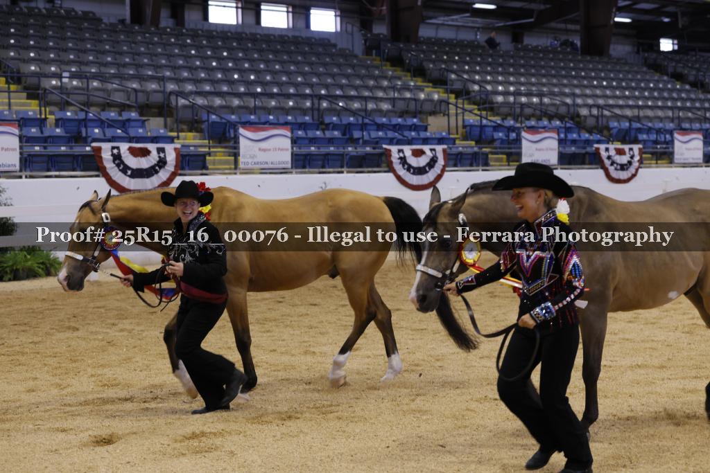 Proof Number 25R15_16_00076
