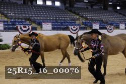 25R15_16_00076 thumbnail