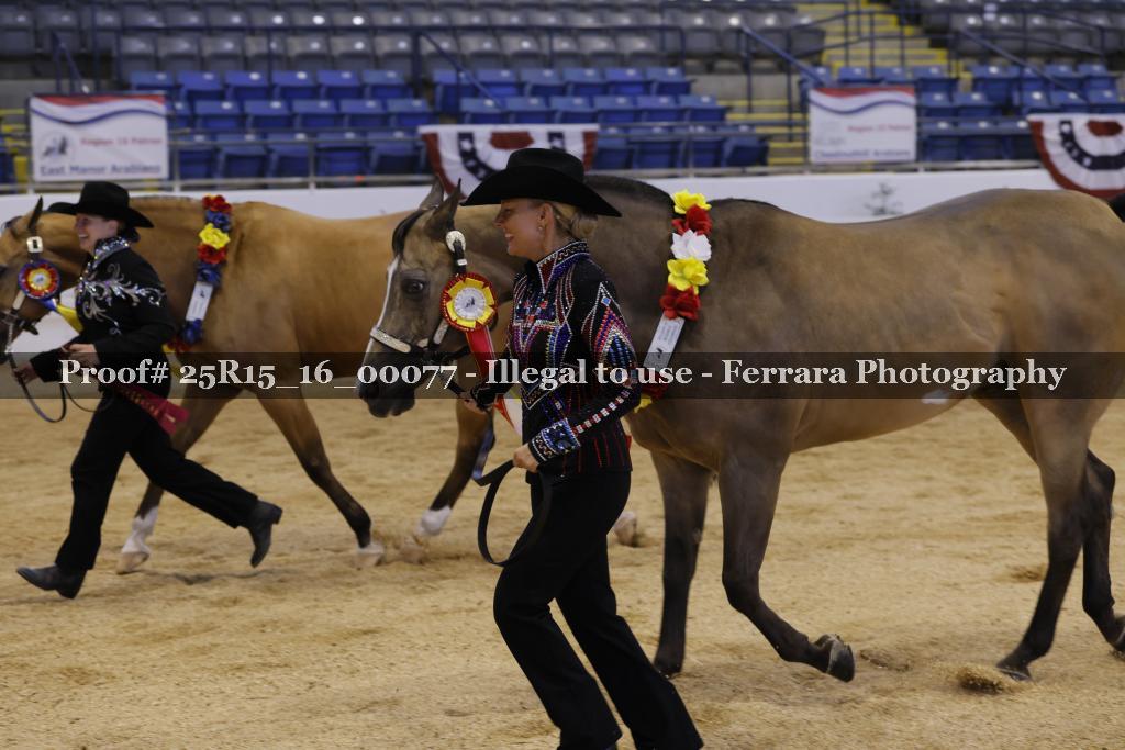 Proof Number 25R15_16_00077