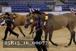 25R15_16_00077 thumbnail