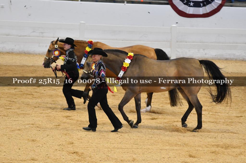 Proof Number 25R15_16_00078
