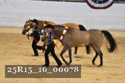 25R15_16_00078 thumbnail