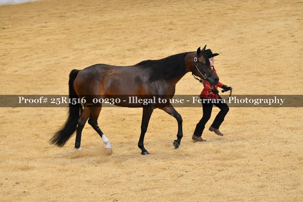 Proof Number 25R1516_00230