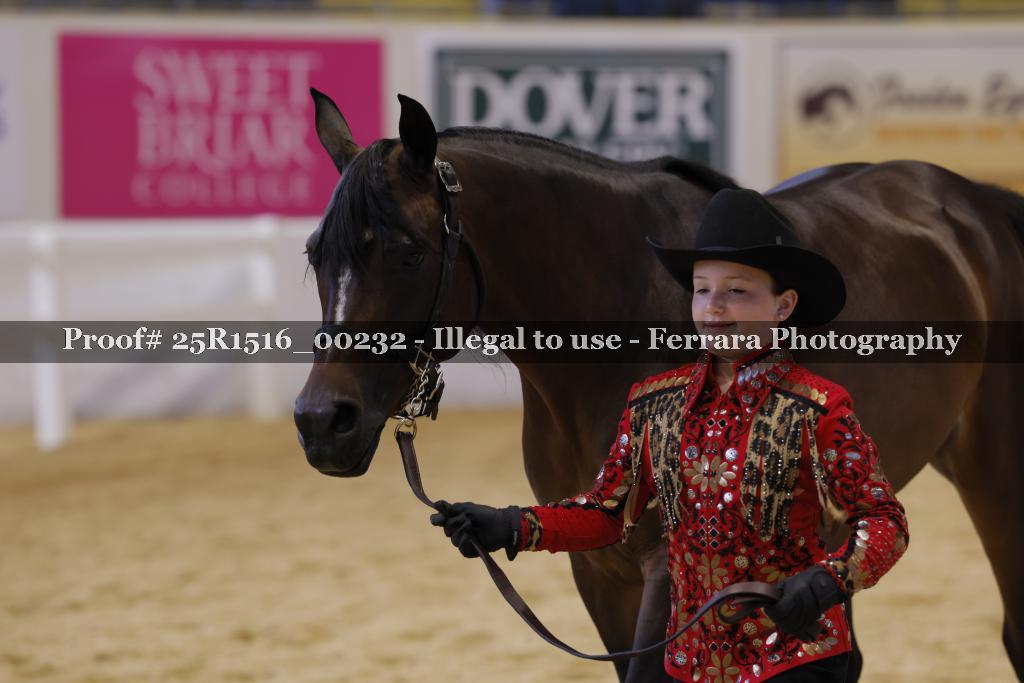 Proof Number 25R1516_00232