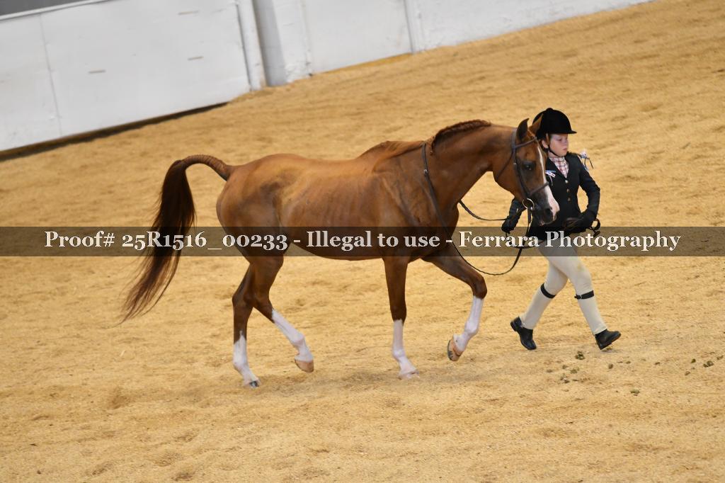 Proof Number 25R1516_00233