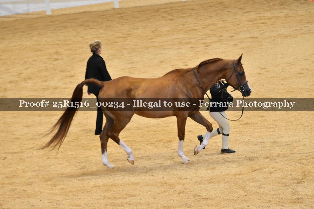Proof Number 25R1516_00234