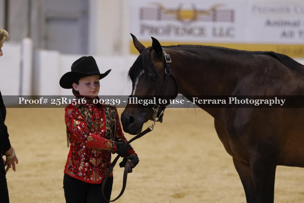 Proof Number 25R1516_00239