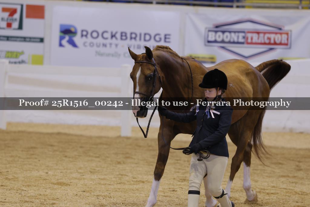 Proof Number 25R1516_00242