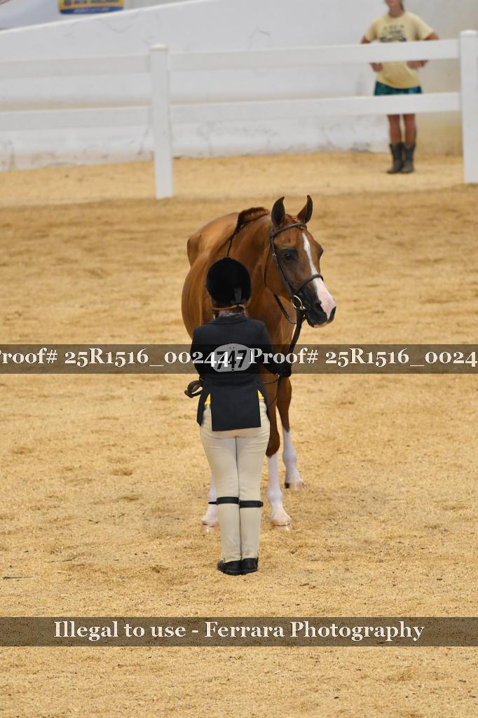 Proof Number 25R1516_00244