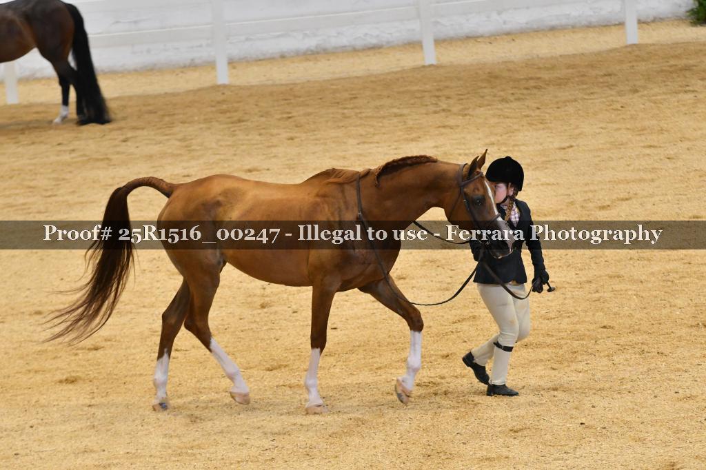 Proof Number 25R1516_00247