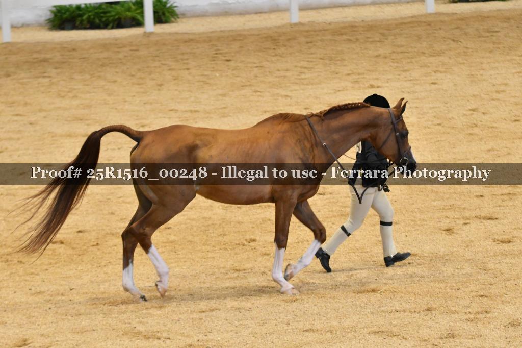 Proof Number 25R1516_00248