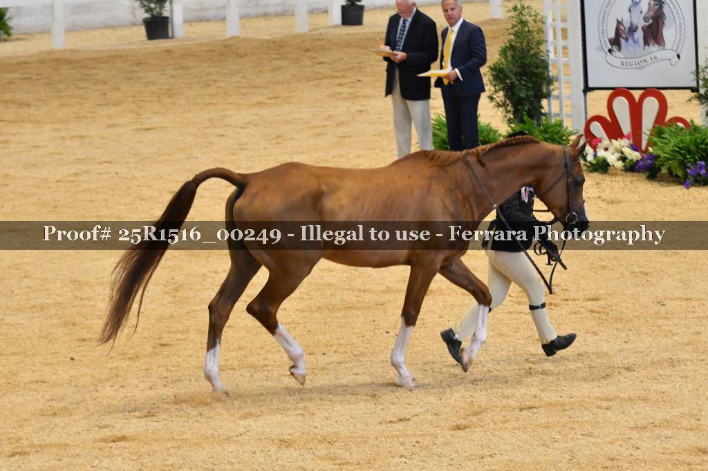 Proof Number 25R1516_00249