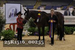 25R1516_00255 thumbnail