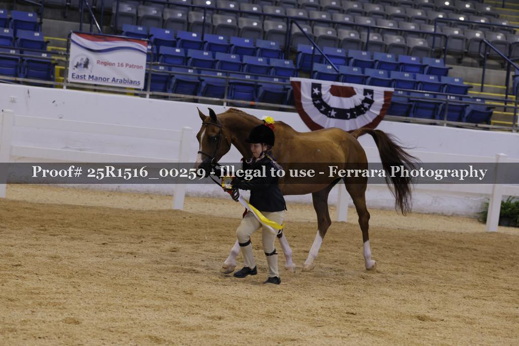 Proof Number 25R1516_00259