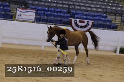 25R1516_00259 thumbnail
