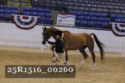 25R1516_00260 thumbnail