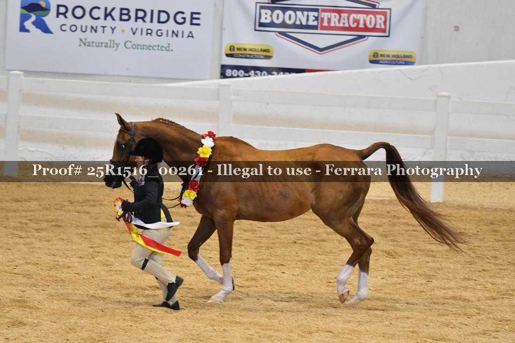 Proof Number 25R1516_00261