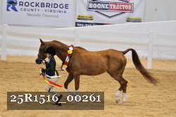 25R1516_00261 thumbnail