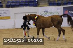 25R1516_00262 thumbnail