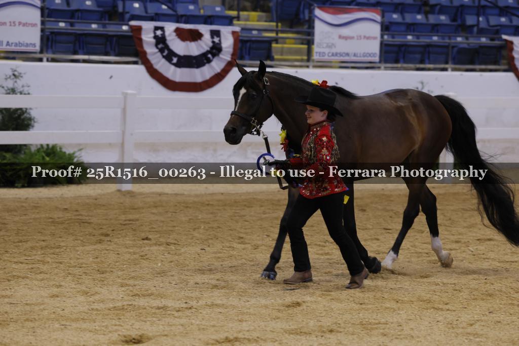 Proof Number 25R1516_00263
