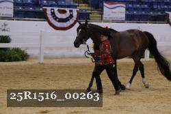 25R1516_00263 thumbnail